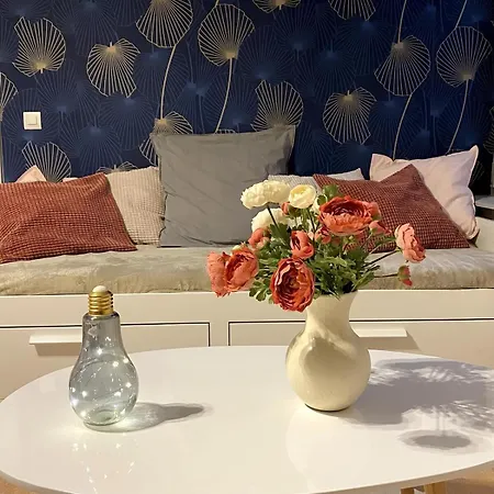 Beau Dans L Hyper Centre 公寓 斯特拉斯堡