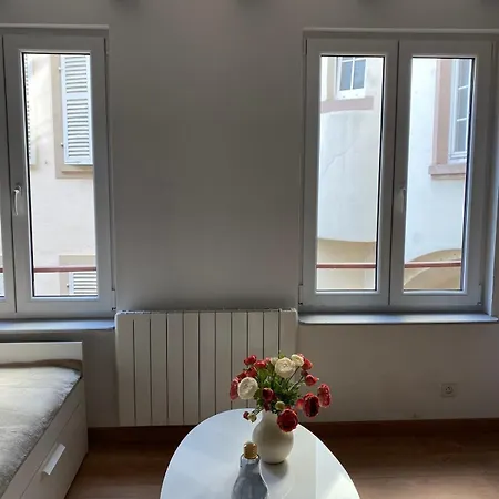 Apartment Beau Dans L Hyper Centre