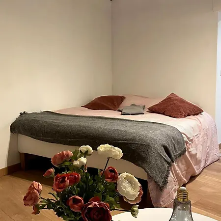 Beau Dans L Hyper Centre * 斯特拉斯堡