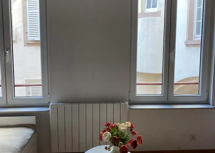 Lejlighed Beau Dans L Hyper Centre