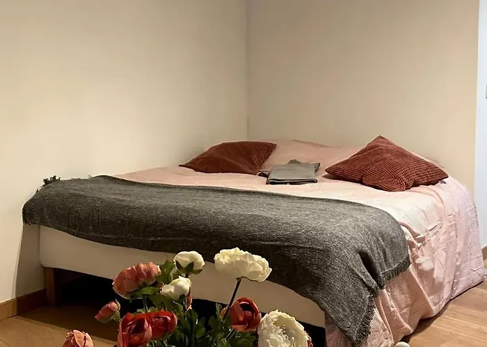 Beau Dans L Hyper Centre * Strasbourg